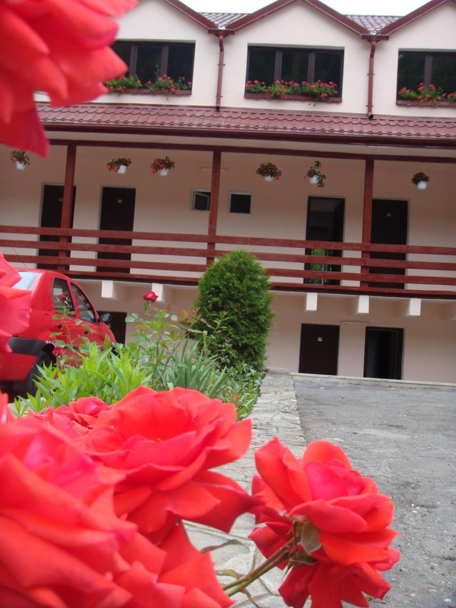 Motel Cristina Bicaz Buitenkant foto